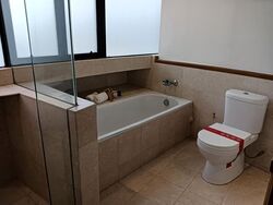The Draycott (D10), Apartment #611359981